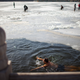 A man swims in a partly frozen lake on a winter day in central Beijing, China. AP Photos / Alexander F. Yuan